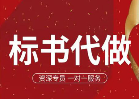 代做标书